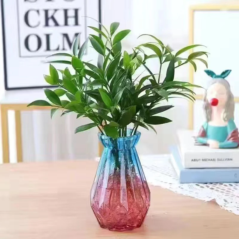 水培驱蚊竹柏防蚊植物绿水培植物水养植办公室内客厅好养驱蚊植物