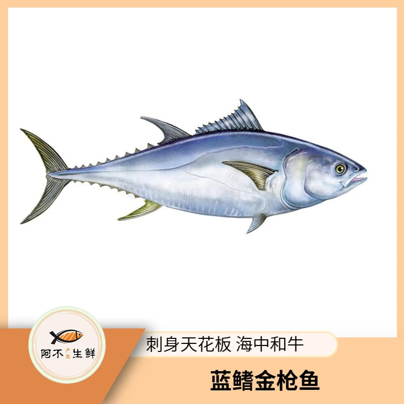 改价链接2【蓝鳍金枪鱼】刺身天花板