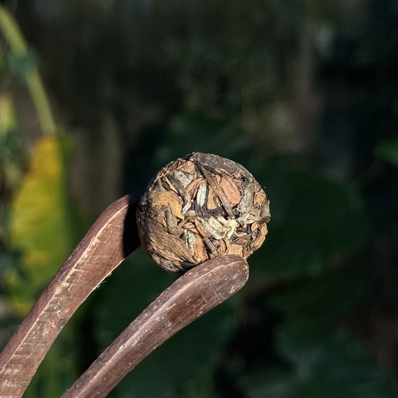 2017年 倚邦古树白茶 龙珠15颗/罐（正装试喝）