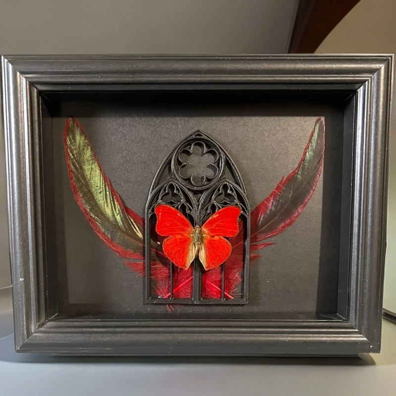 血漪蛱蝶红色蝴蝶标昆虫本相框摆件