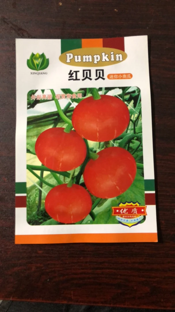 红贝贝南瓜种子。