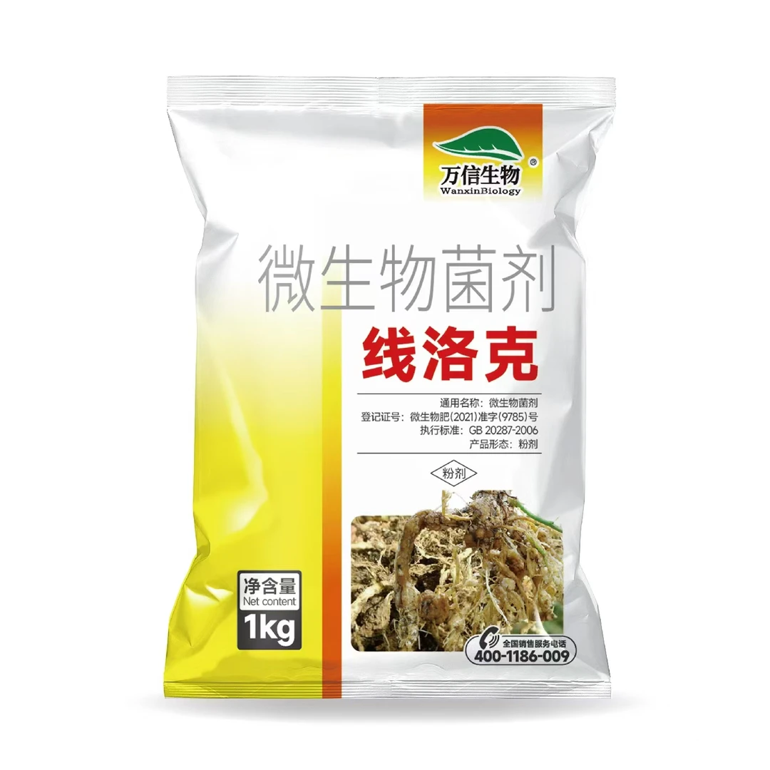 线洛克针对根结线虫根线瘤淡紫紫胞菌微生物菌剂