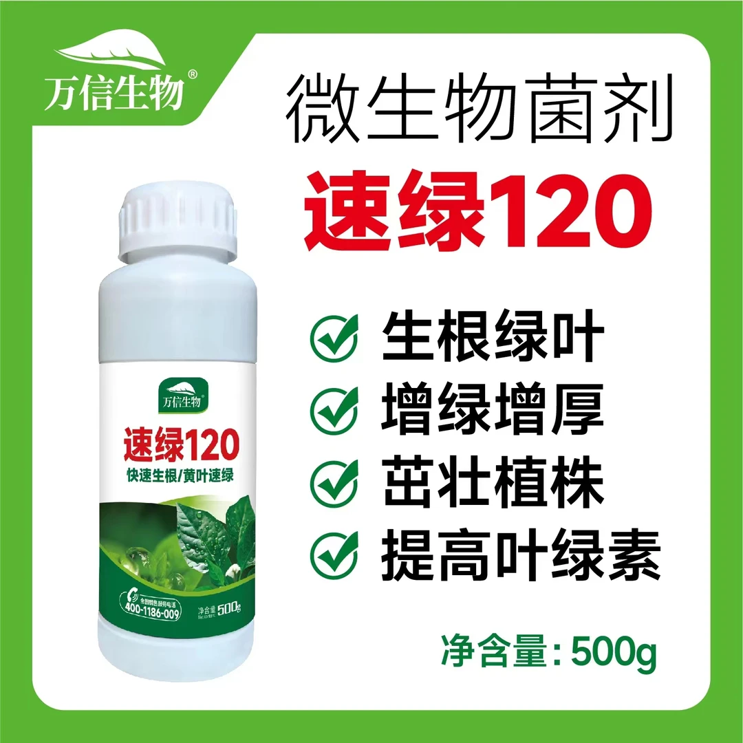 万信生物速绿120叶绿素提苗生根壮棵增绿增厚水溶叶面肥