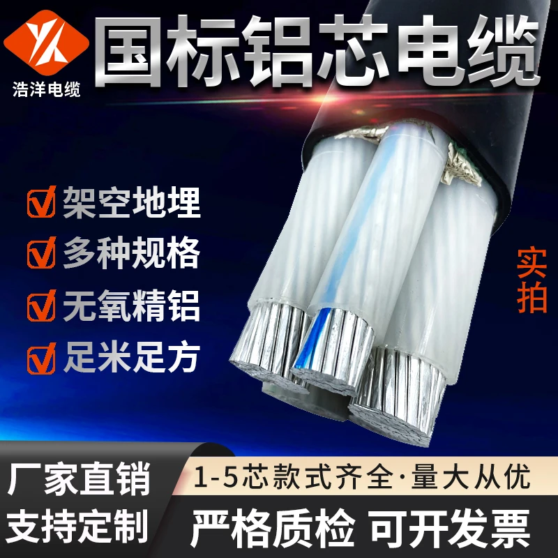 国标铠装2/3/4/5芯/25/35/50平方抗老化铝芯电缆线厂家批发