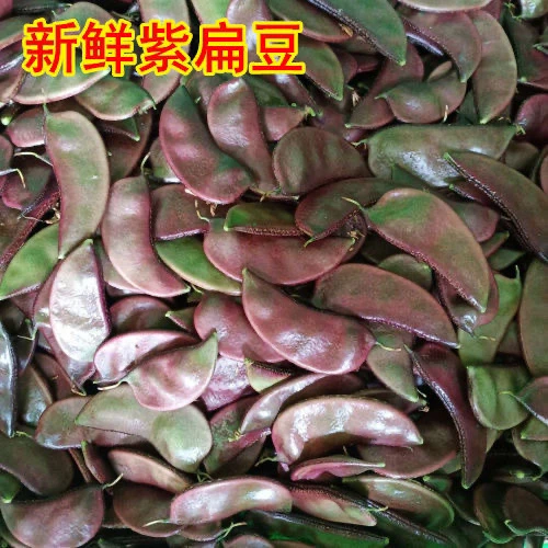 顺丰包邮江苏发货新鲜紫扁豆3斤5斤