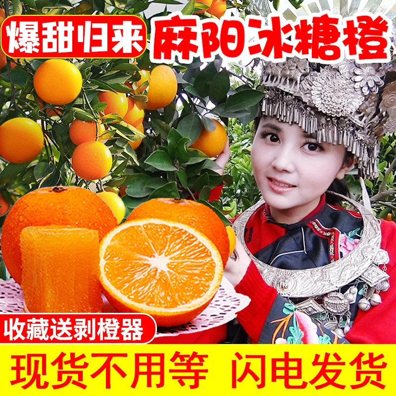 【文哥专属】湖南正宗麻阳冰糖橙手剥现摘现发甜橙子
