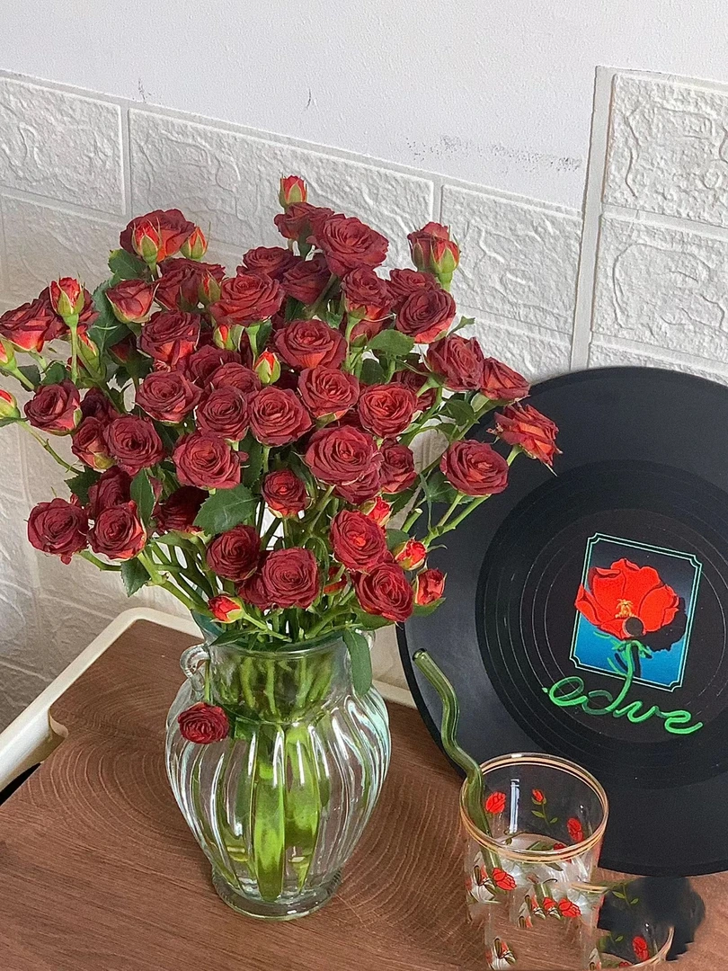 巧克力泡泡多头 花苞需醒花 云南基地直发 发出无法拒收