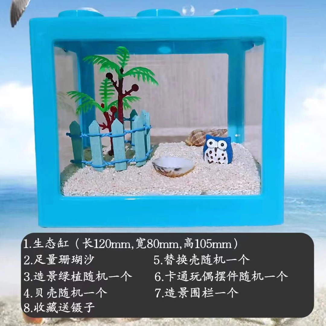 寄居蟹乌龟饲养套餐桌面摆件创意礼物斗鱼缸豆豆蟹相手蟹饲养缸