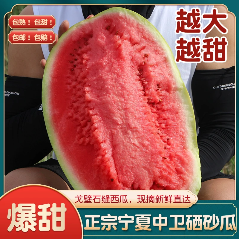 现摘包邮宁夏中卫硒砂瓜石头瓜新鲜时令水果沙甜爆汁当季沙瓤西瓜