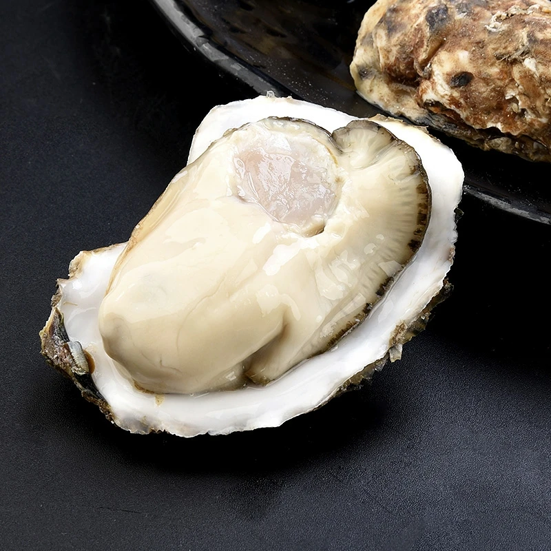 乳山生蚝鲜活牡蛎免洗即食5斤生蚝冷链直发包邮新鲜美味鲜嫩