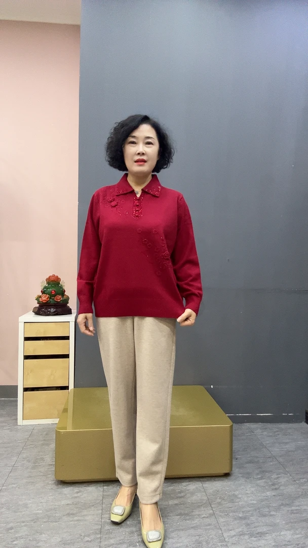 冬季翻领盘花洋气上衣