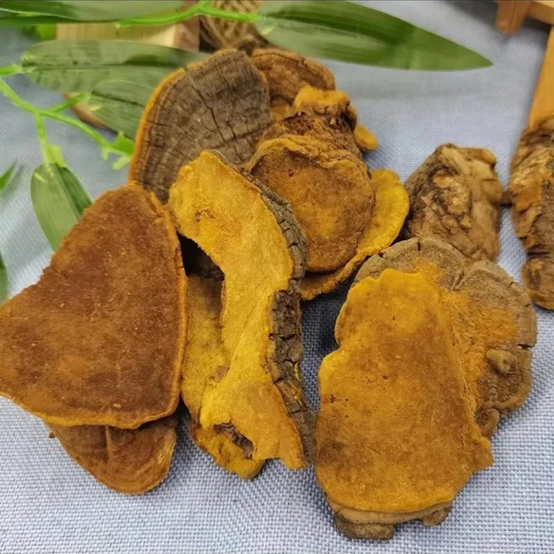 桑黄【粉丝专属】食用深山桑黄桑黄菌桑黄片桑枣中只桑枸杞煮水煲汤