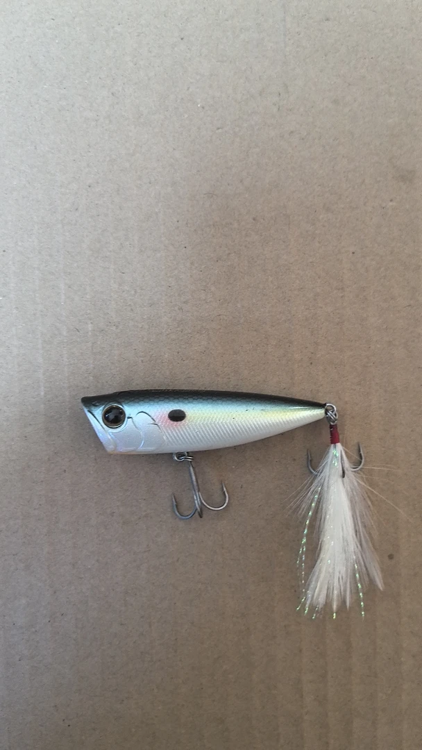 YD240730-21       路亚饵