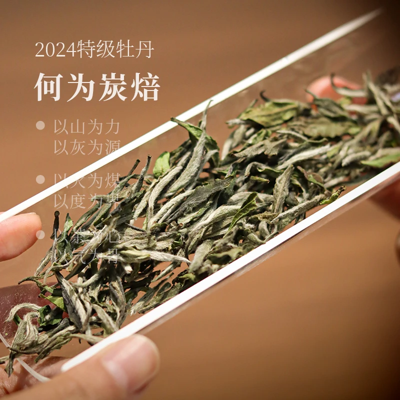 深山行何为炭焙·2024年特级白牡丹 400克/提 福鼎管阳高山白茶