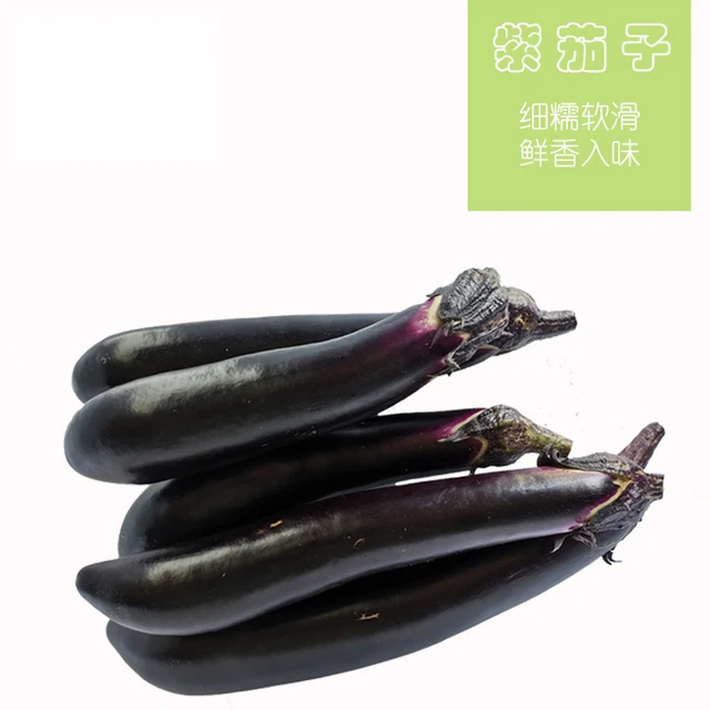 健康成长蔬菜丨秋葵  南瓜  茄子