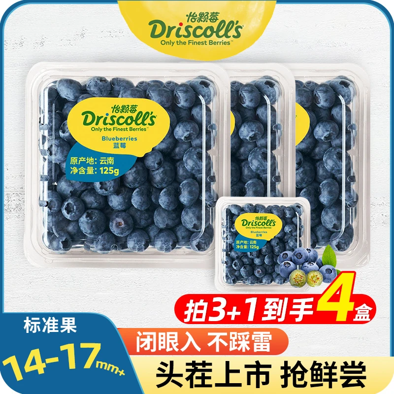 【拍小果升级发中果】怡颗莓蓝莓 新鲜采摘云南产区 蓝莓125g/盒