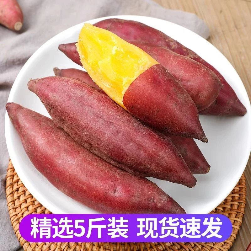 新鲜现挖临安天目山小香薯5斤正宗小红薯板栗薯迷你地瓜金手指