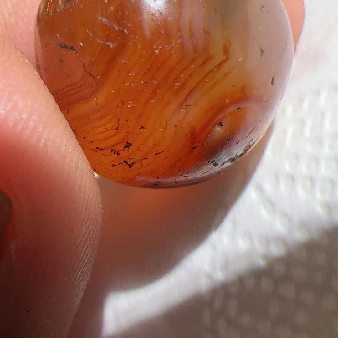 香榧木在一起就要好好