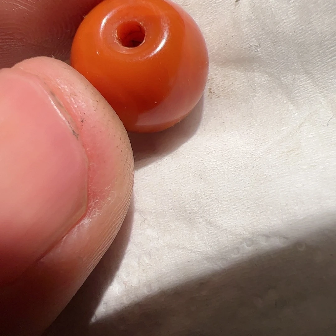 香榧木在这一刻你