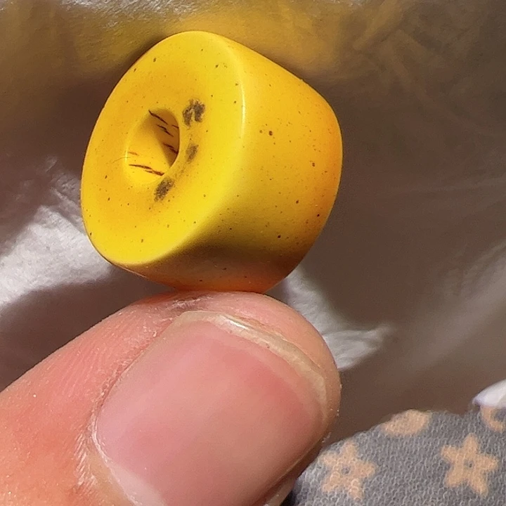 香榧木在一起吗？这