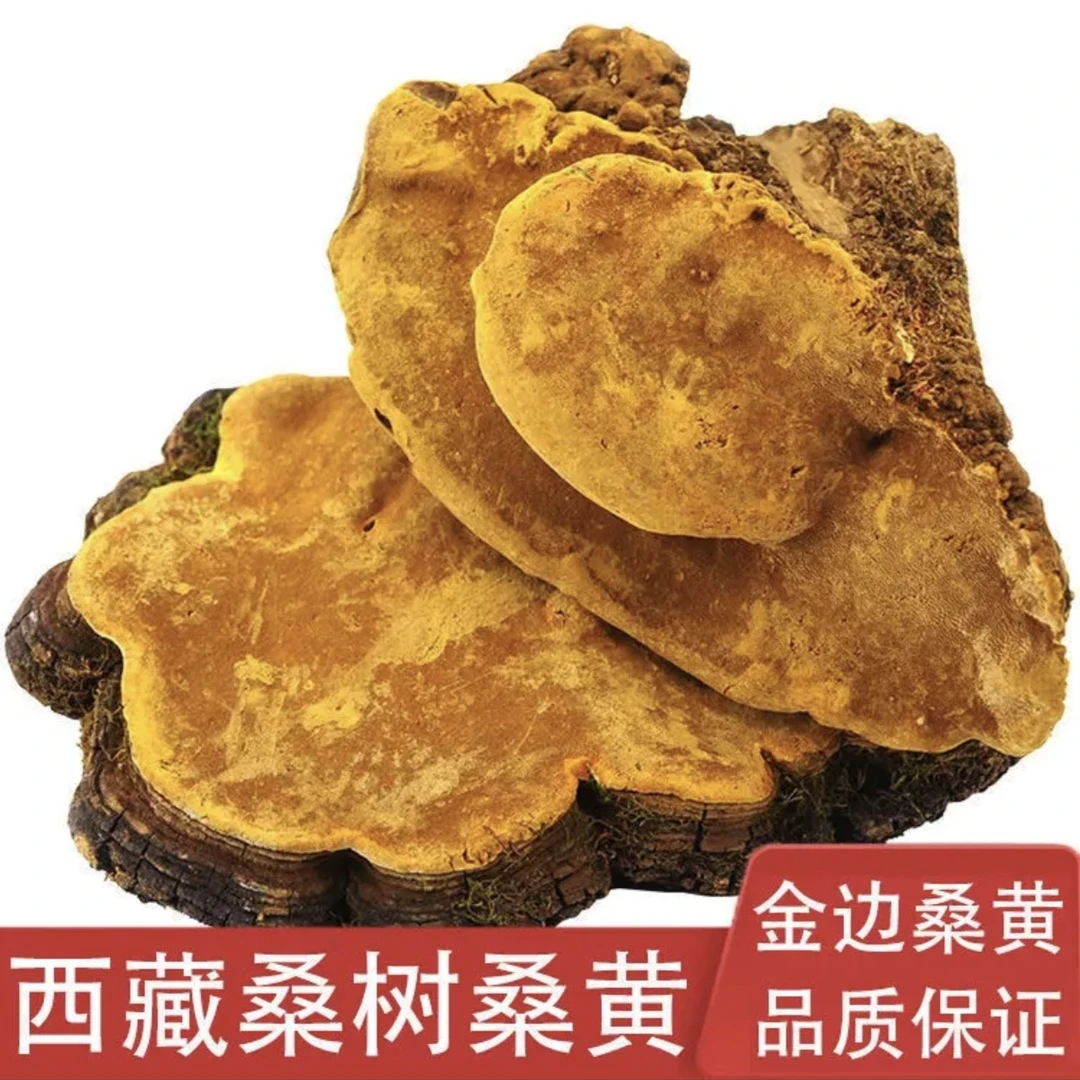 【粉丝专享】西藏金边根茎类岩马桑桑黄桑黄250克包邮