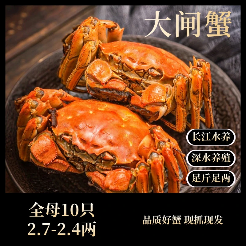 【活蟹】正宗全母2.7-2.4两10只苏州精品大闸蟹长江水养包活包重