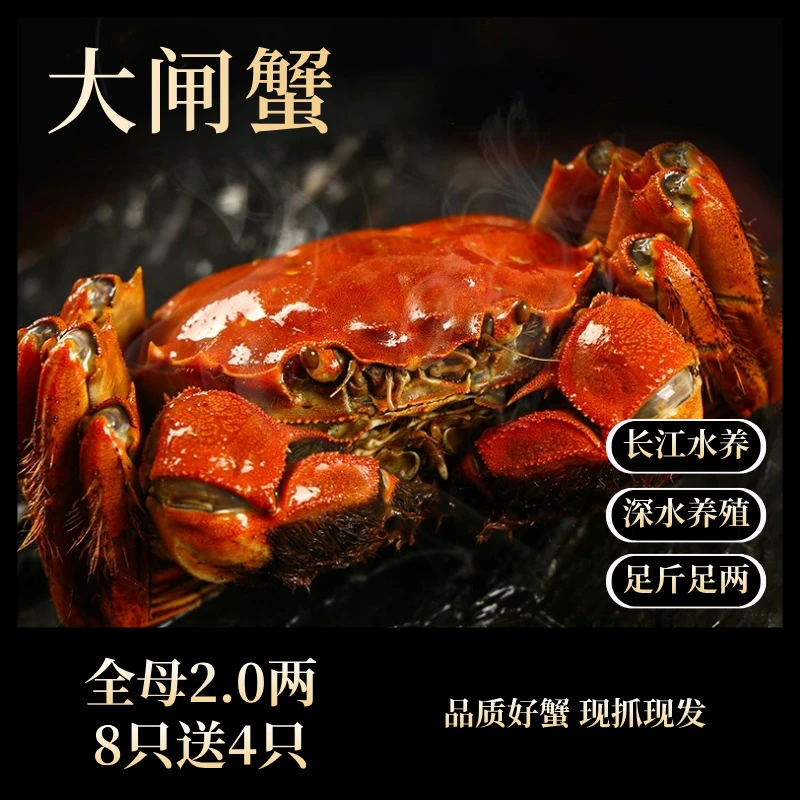 【活蟹】正宗全母2两10只送2只苏州精品大闸蟹长江水养包活包重1ZB