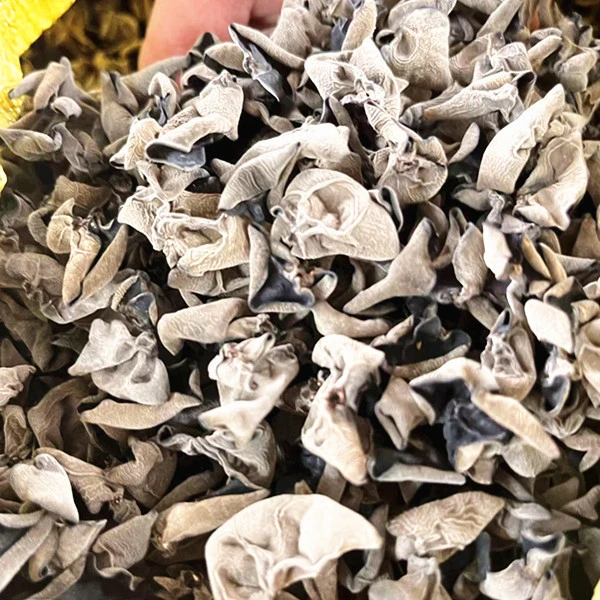 长白山下山泉水浇灌黑木耳农产品泡发食用净含量250克