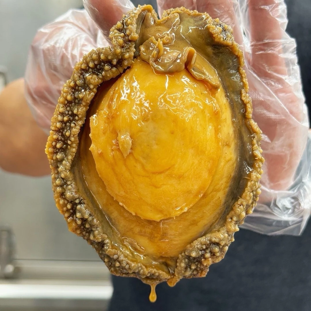 牧渔人家 上汤鲍汁焗澳洲鲍鱼 选用活鲍去壳熬制加热即食