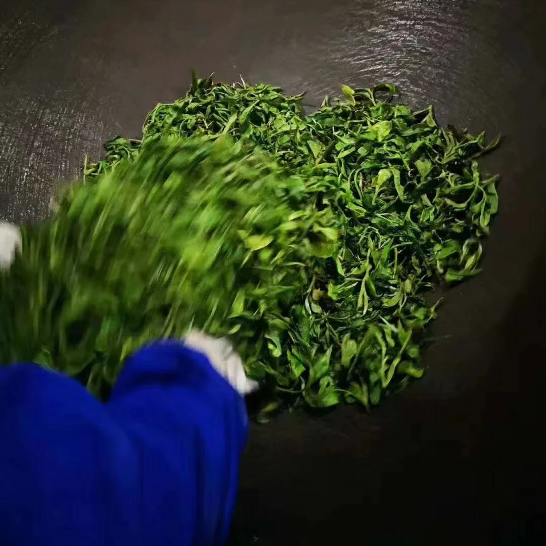 【野人山】 2021年头春/云南普洱生茶