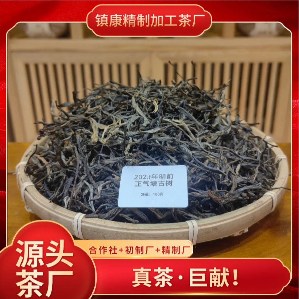 【交友款】2023年春 正气塘古树 云南普洱生茶