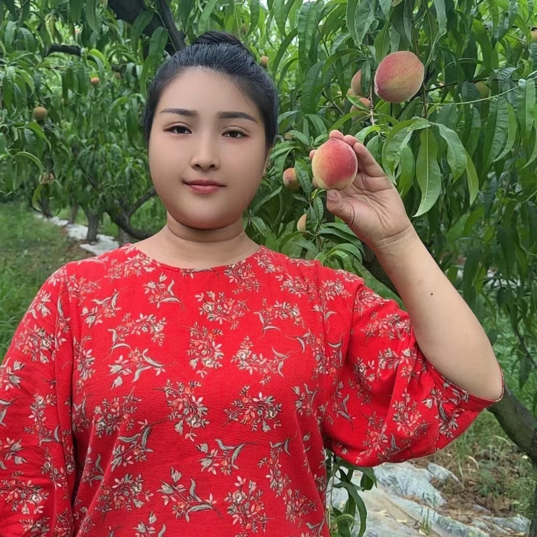 南阳淅川当季现采香甜脆好吃新鲜美味采摘美味