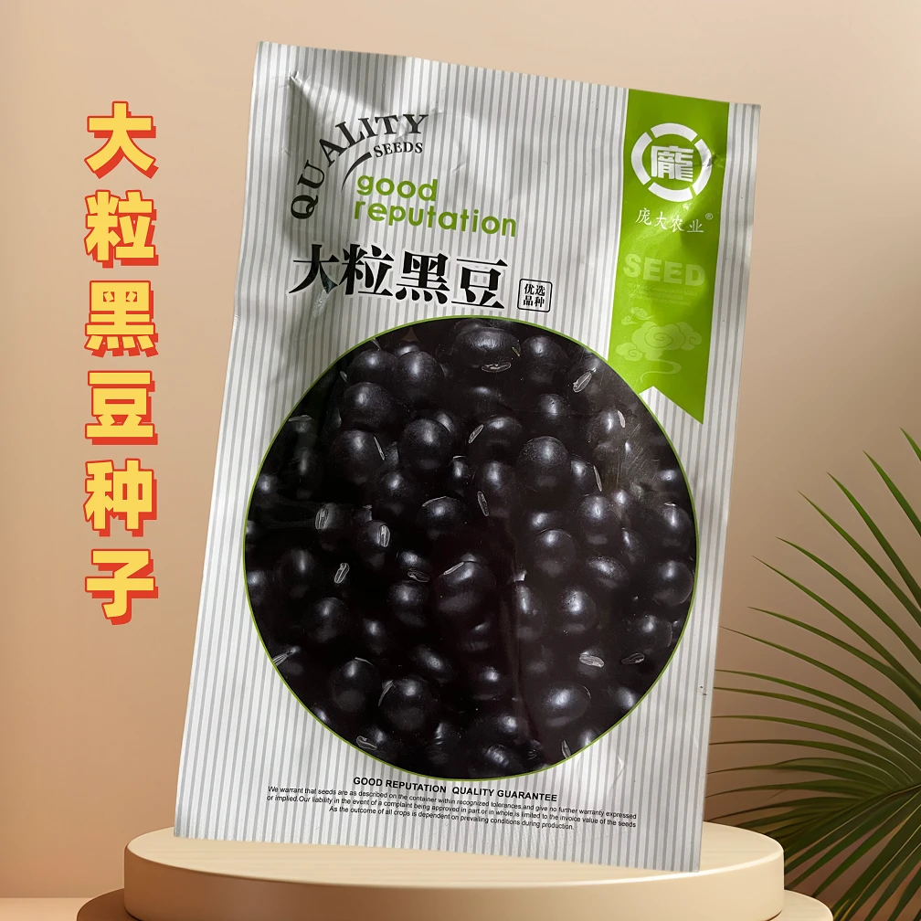 【50克】大粒黑豆种子优选高产春夏季节播南北方优良糯黑豆农业种植