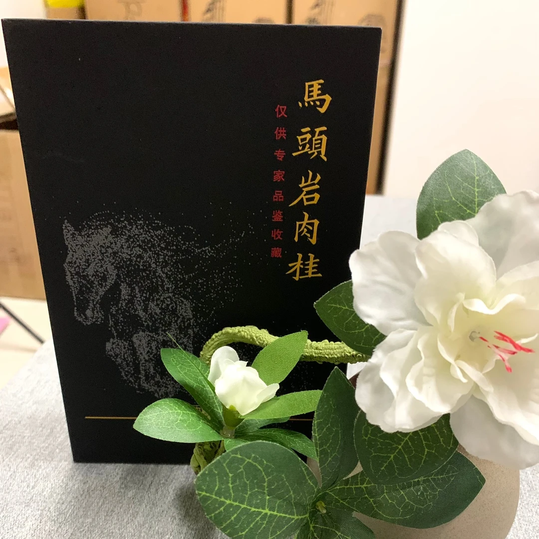 【因来问茶】新品浮力《马头岩肉桂》正岩肉桂 盒装 霸道桂皮味