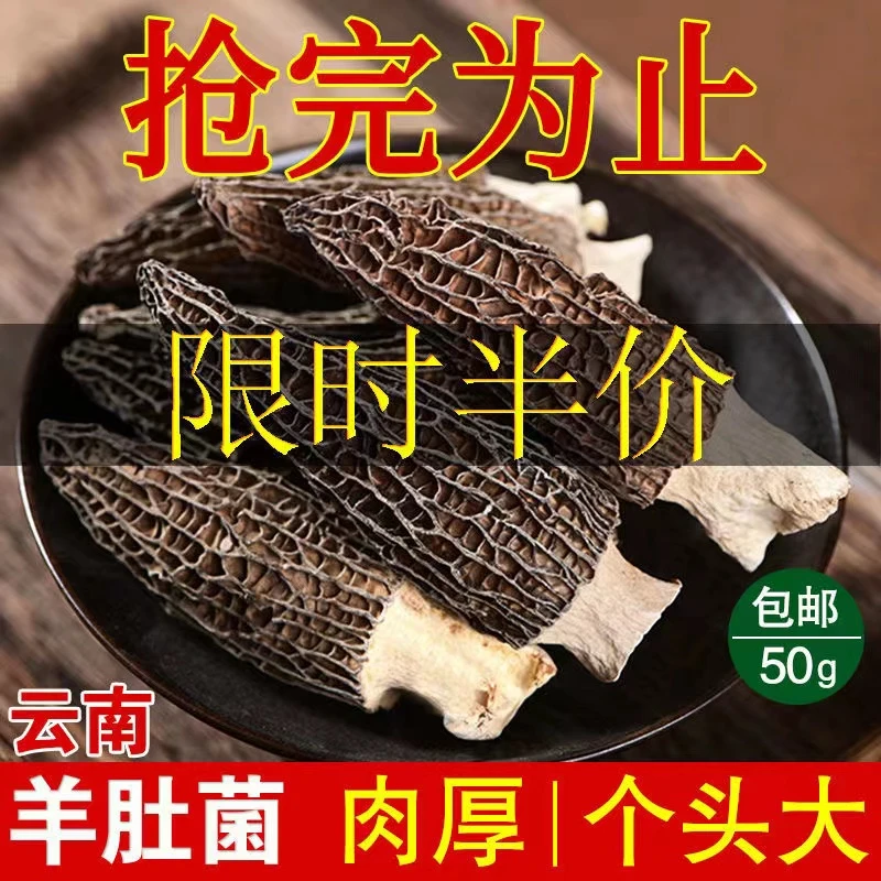 云南羊肚菌干货头茬肉厚香味浓新鲜食用营养肉质菌生态饱满煲汤