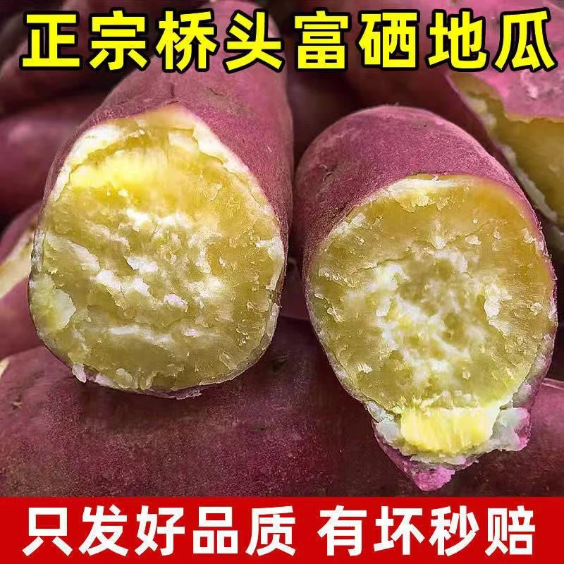 【20单五折】桥头澄迈富硒地瓜红薯板栗薯红薯番薯1斤5斤9斤蜜薯