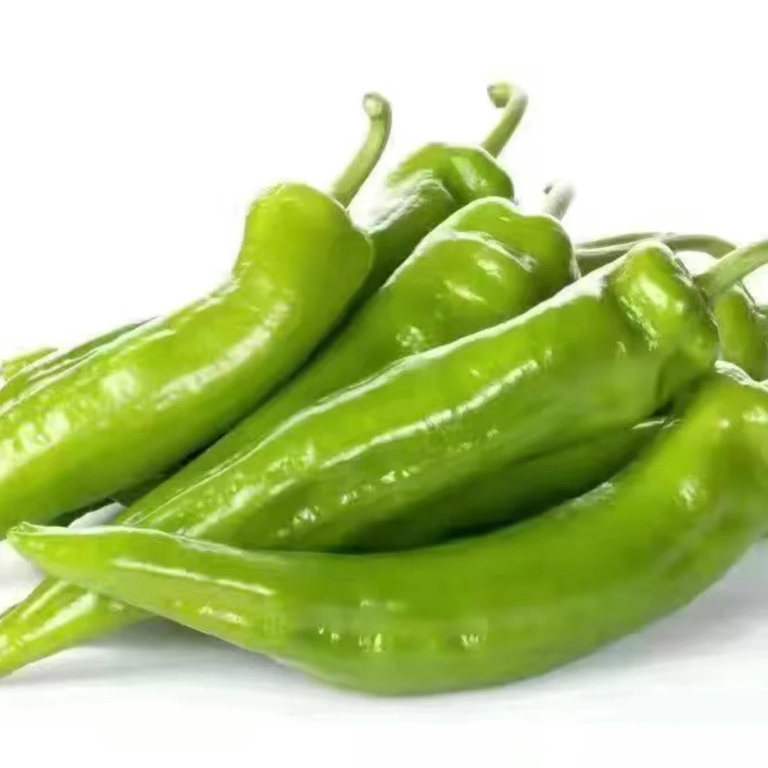 【加购物车满20元包邮】尖椒（微辣）1斤
