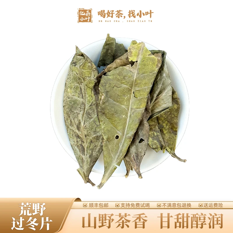 荒野过冬片福鼎白茶回甘生津野韵足清冽甘甜免费试喝(250g/500g)