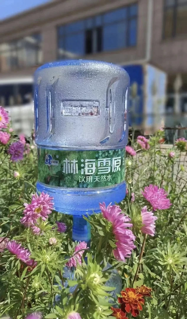 林海雪原天然水18.9L*13桶