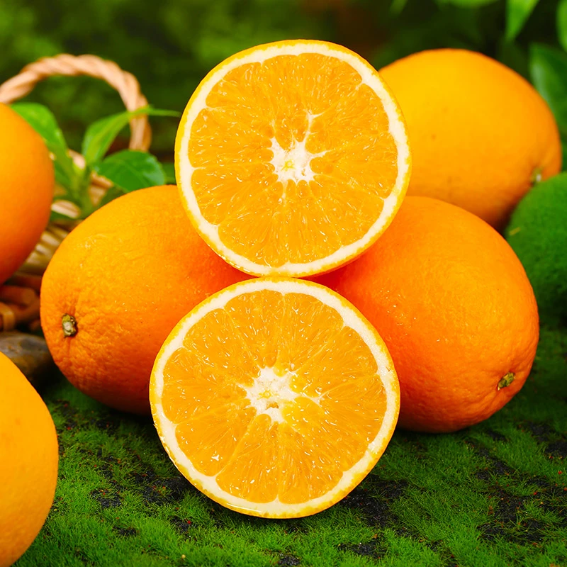 【霖侑鲜】重庆奉节脐橙5斤单果65mm起