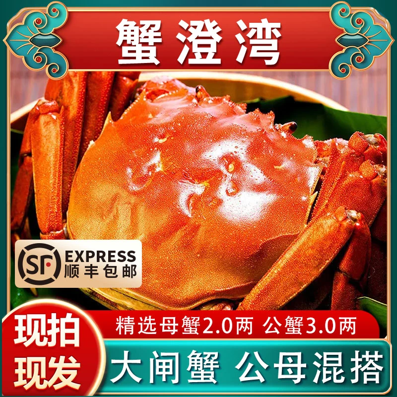 【活蟹】苏州大闸蟹精品蟹母蟹2.0两+公蟹3.0两顺丰8-10只礼盒装