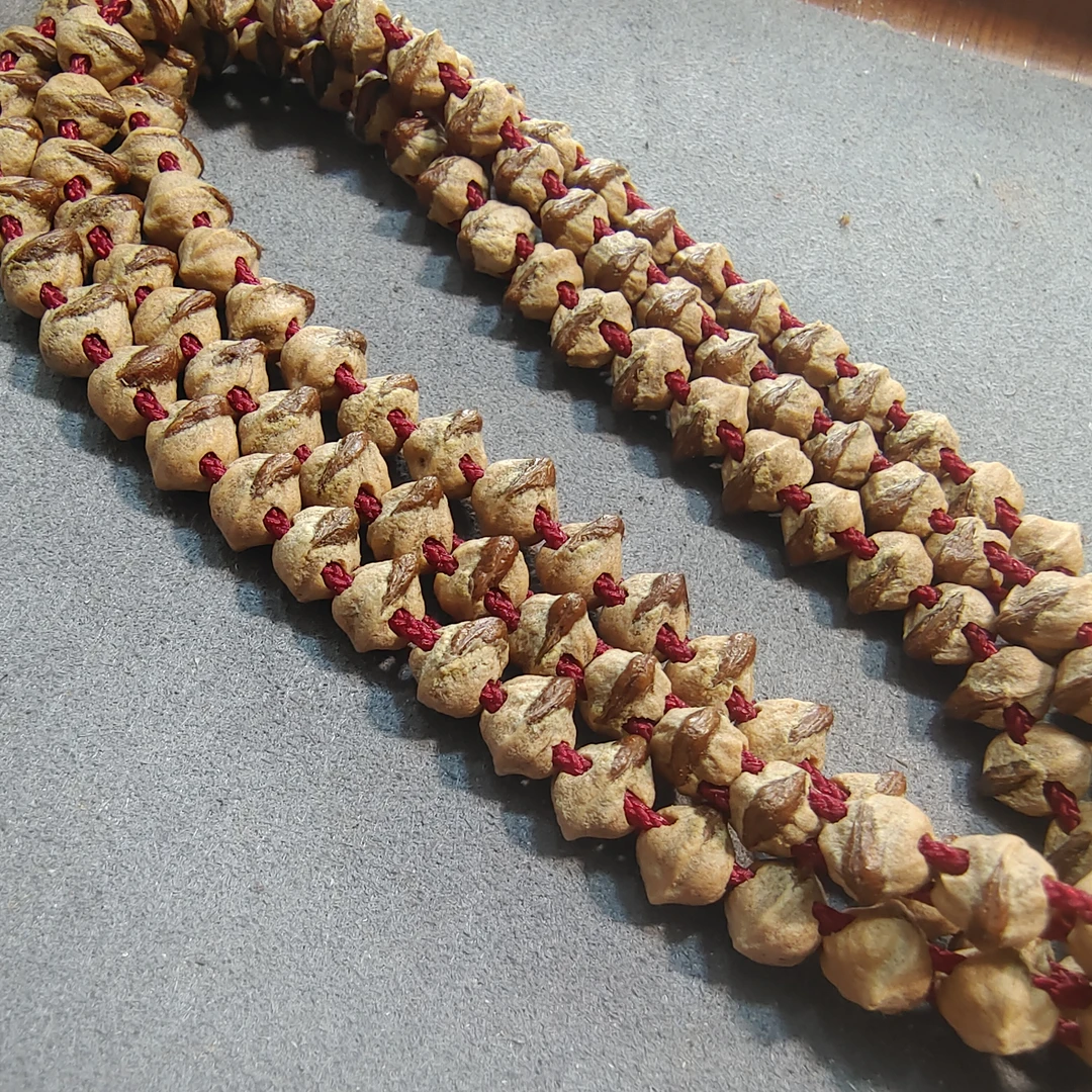 西藏双打烈焰红唇百香籽，大红牙口籽，高油高密，皮质坚硬