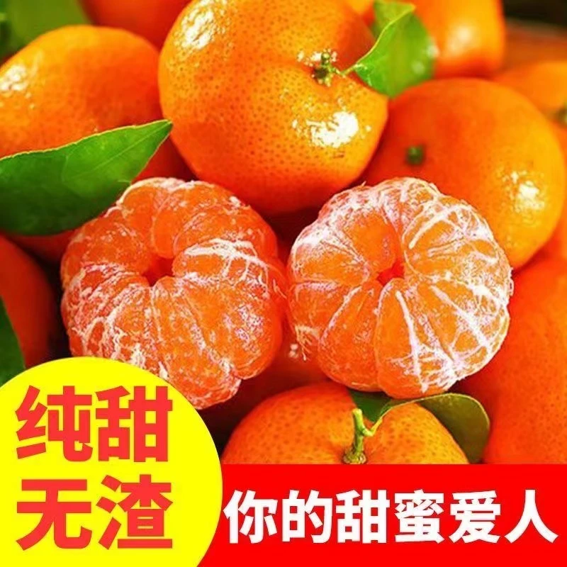 【广西砂糖橘】皮薄正宗桔子整箱批发10斤薄皮新鲜水果冰糖橘子