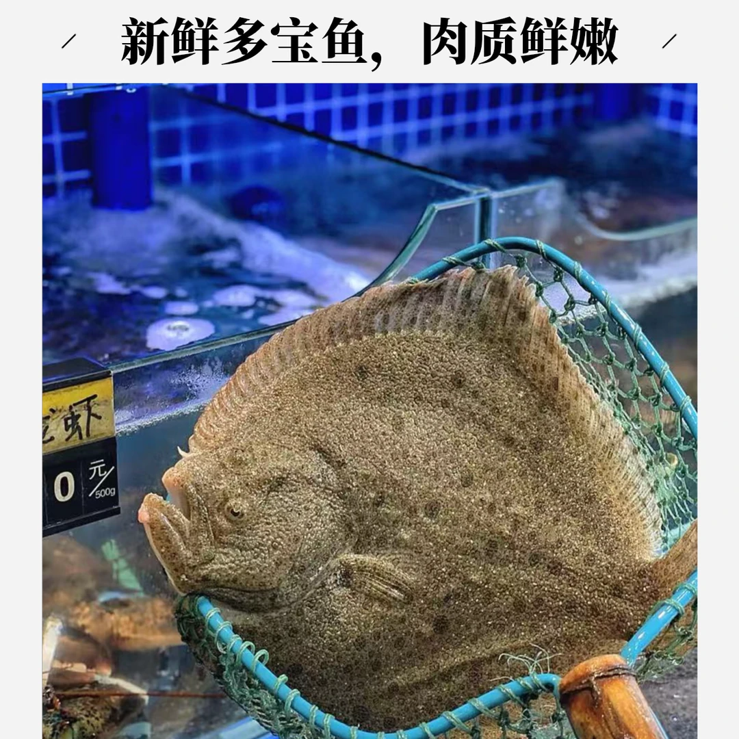 多宝鱼1条 1000g~1050g