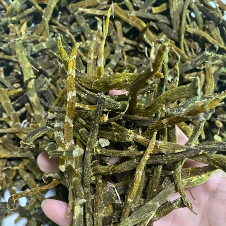 珍虫石斛（芽尖）石斛日常滋补芝阴青热滋养炖汤泡茶