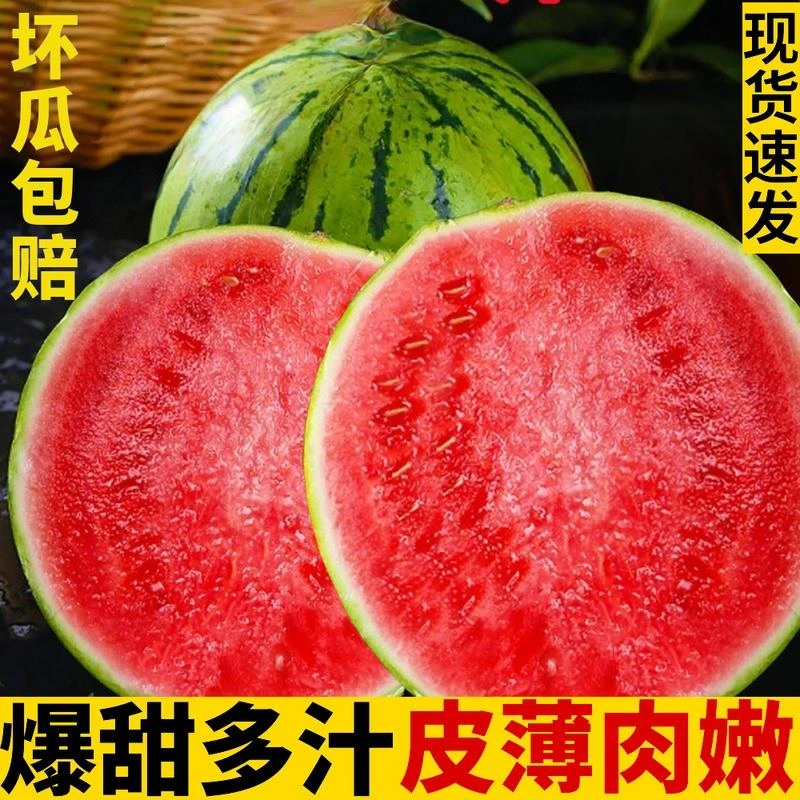 现摘冰糖麒麟西瓜薄皮甜西瓜当季新鲜水果红瓤籽无脆美都8284整箱