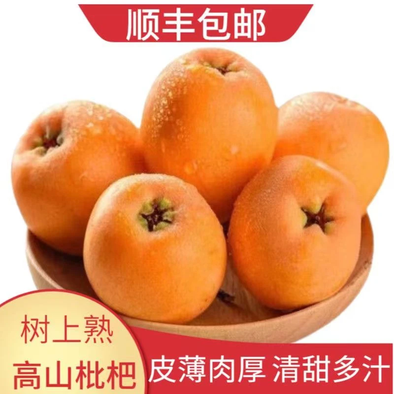 顺丰包邮福建莆田枇杷新鲜果当季大果枇杷饱满多汁爆汁琵琶送礼