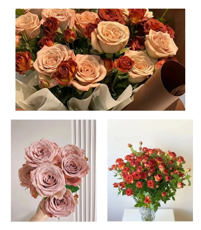 【半岛花铺】卡布奇诺+巧克力泡泡 鲜花组合