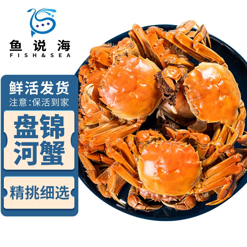 【活蟹】鱼说海 盘锦河蟹 母蟹 0.8-1两 1-1.2两 1.3-1.5两  2斤