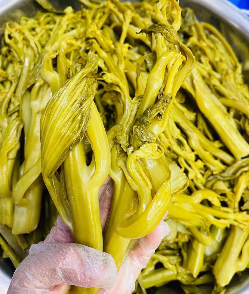 【专属链接】酸脆芥菜芽每包1000克